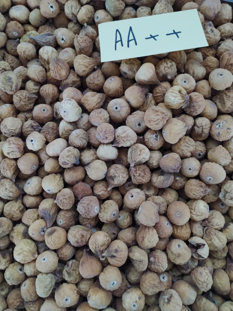 قیمت انجیر خشک صادراتی متوسط (AA) با کیفیت ارزان + خرید عمده